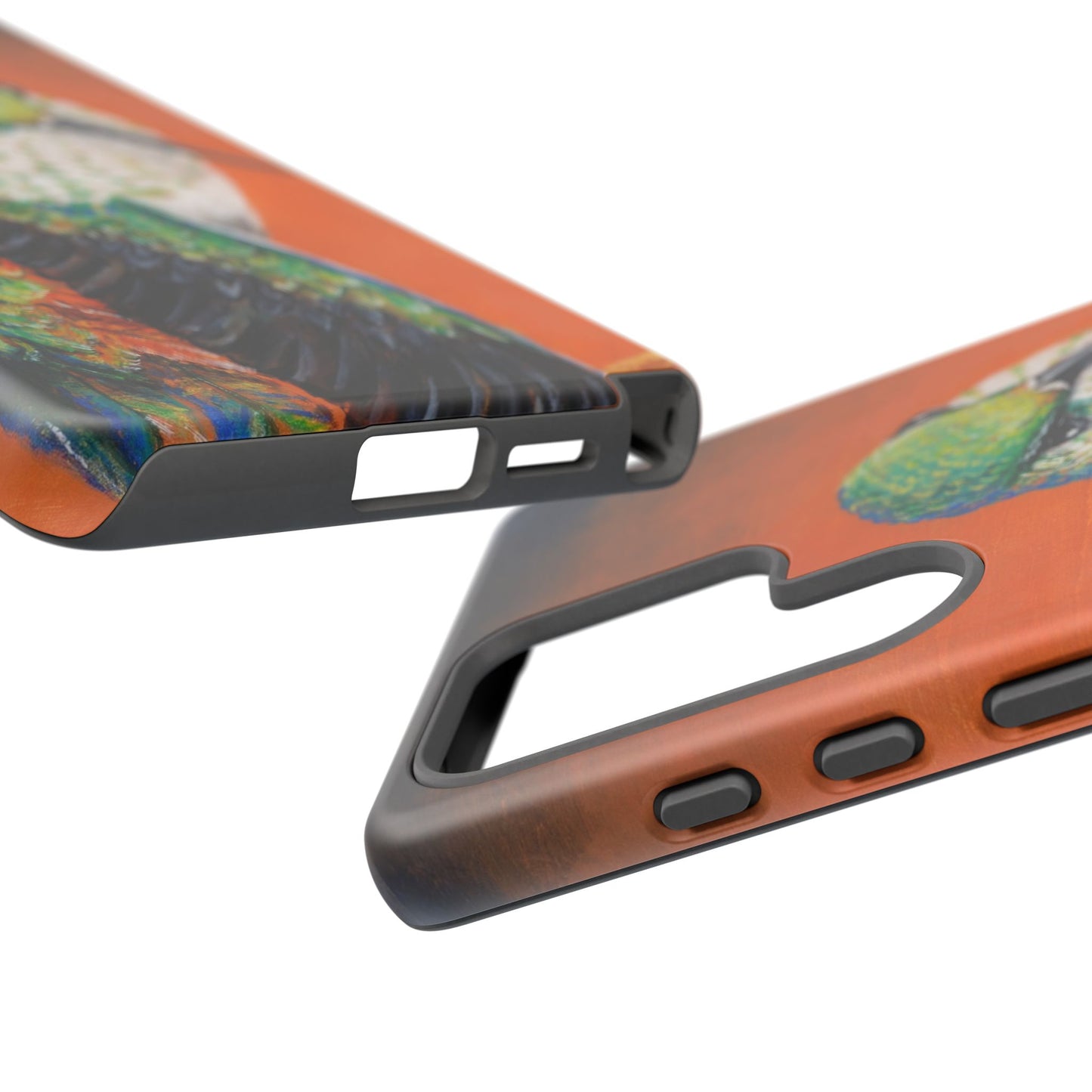 "Hummingbird Ballet" Art Samsung Galaxy Case Multiple Sizes — Colorful Protective Tough Case