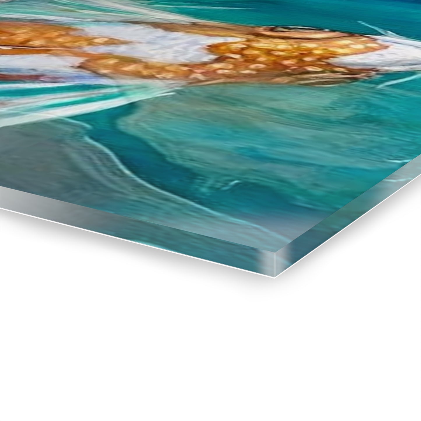 "School of Luck" Acrylic Prints (French Cleat Hanging)