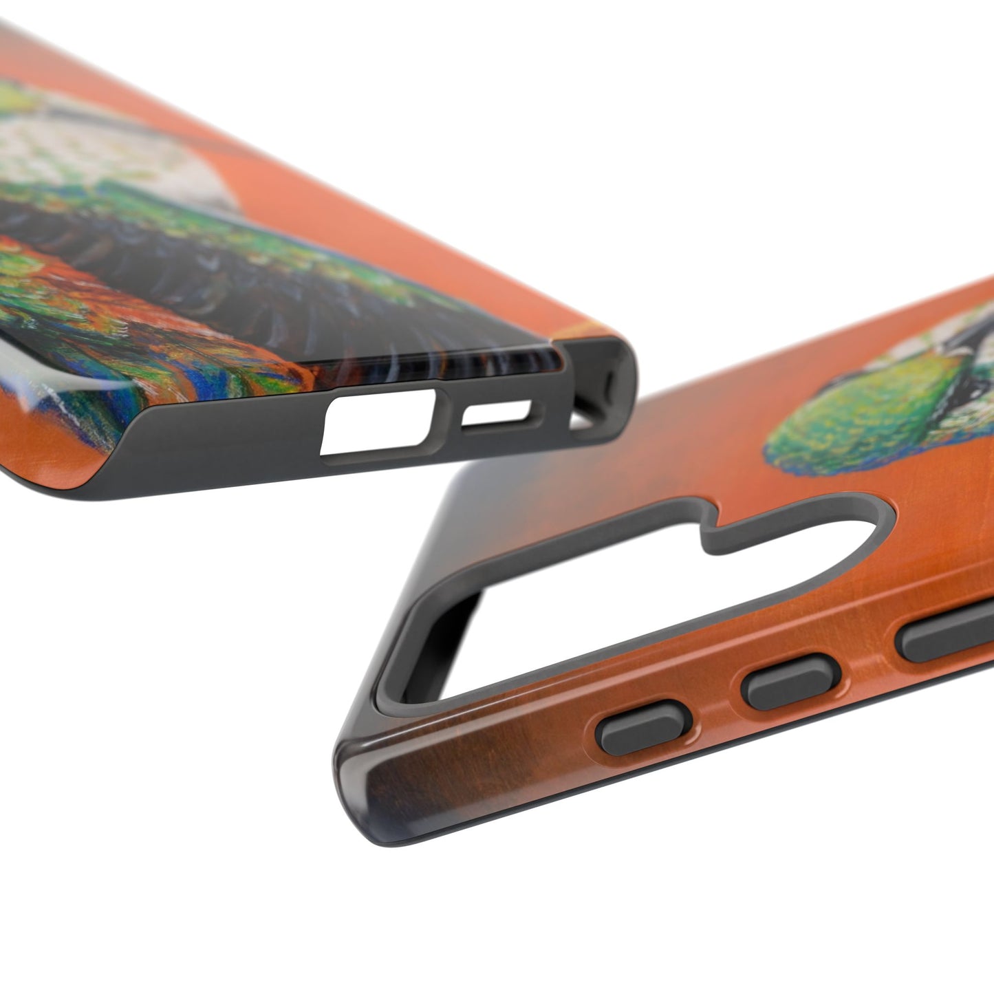 "Hummingbird Ballet" Art Samsung Galaxy Case Multiple Sizes — Colorful Protective Tough Case